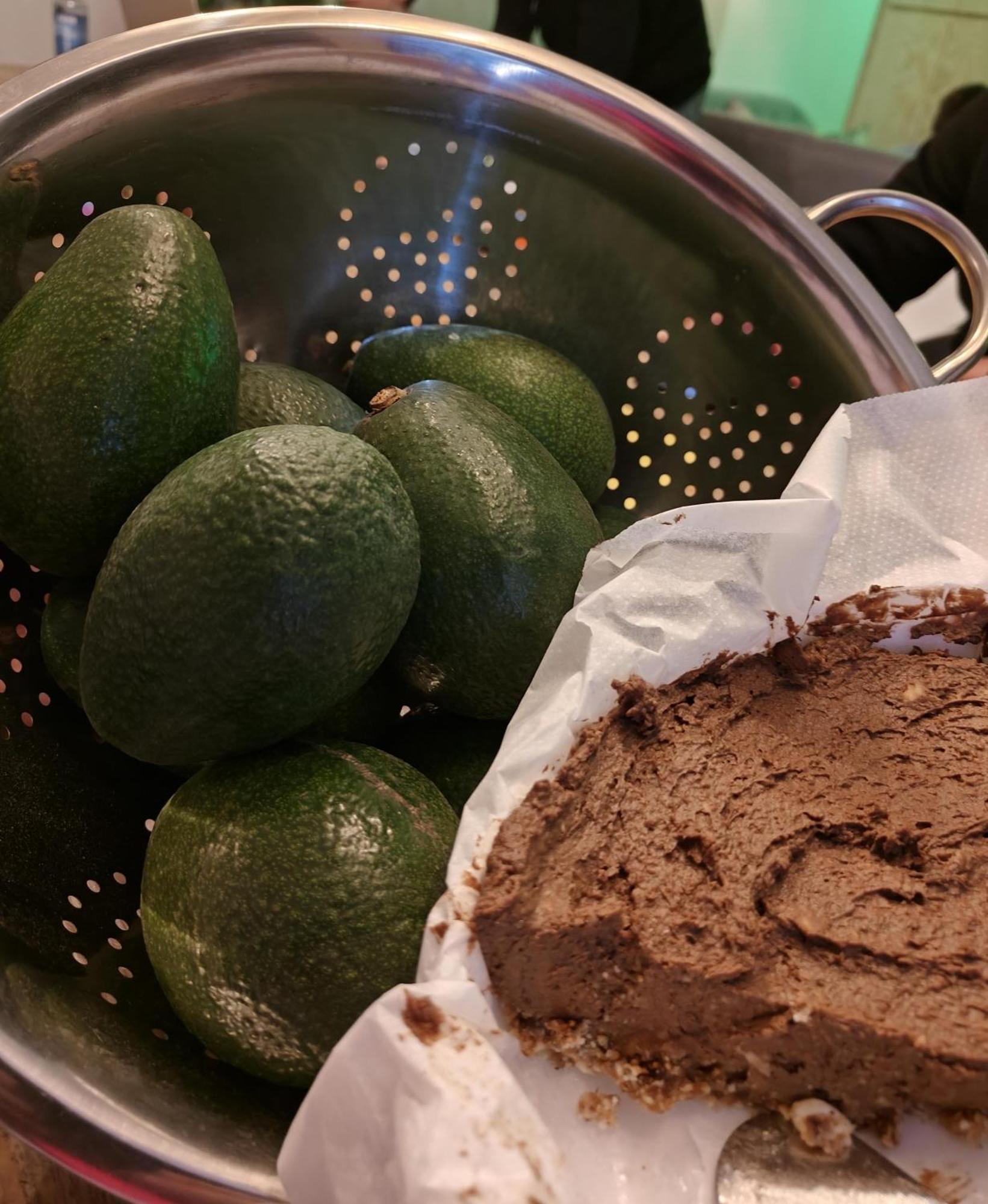Finca Oliva Bolulla 外观 照片